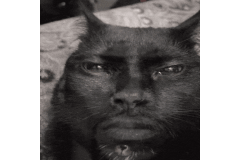 PP
